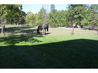 Property photo 72 - 80 +/- Acres Offered in 6 Tracts - Spectacular Farm & Home